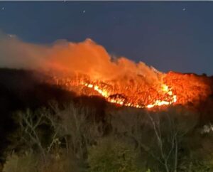 Hawthorne Brush Fire Day 1